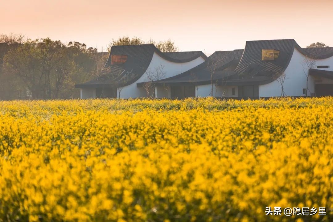 浪漫婚礼风民宿,很火的民宿婚礼
