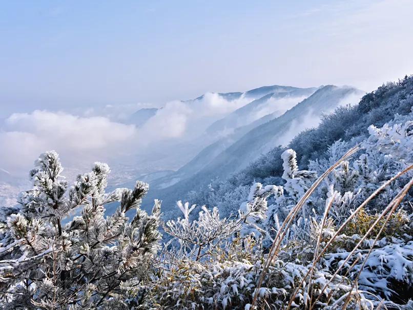 适合杭州风景的头像,杭州美景头像