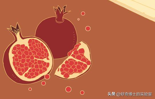 吃补阳气的中药后身体有哪些变化,吃了药身体会发生什么变化