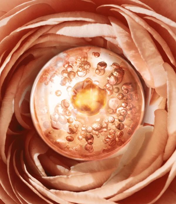 兰蔻菁纯眼精华秒杀,兰蔻菁纯臻颜玫瑰精萃水150ml价格