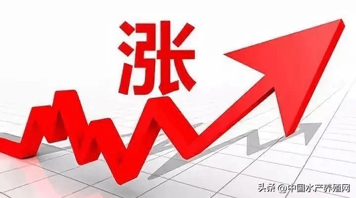 今年还可以养鱼吗,今年养鱼亏了明年还要养吗