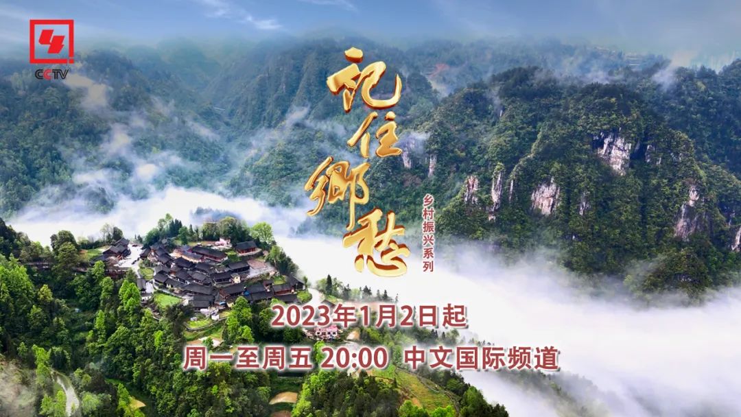 编导手记|勃利：厚积薄发东北大地焕新颜——吕明月