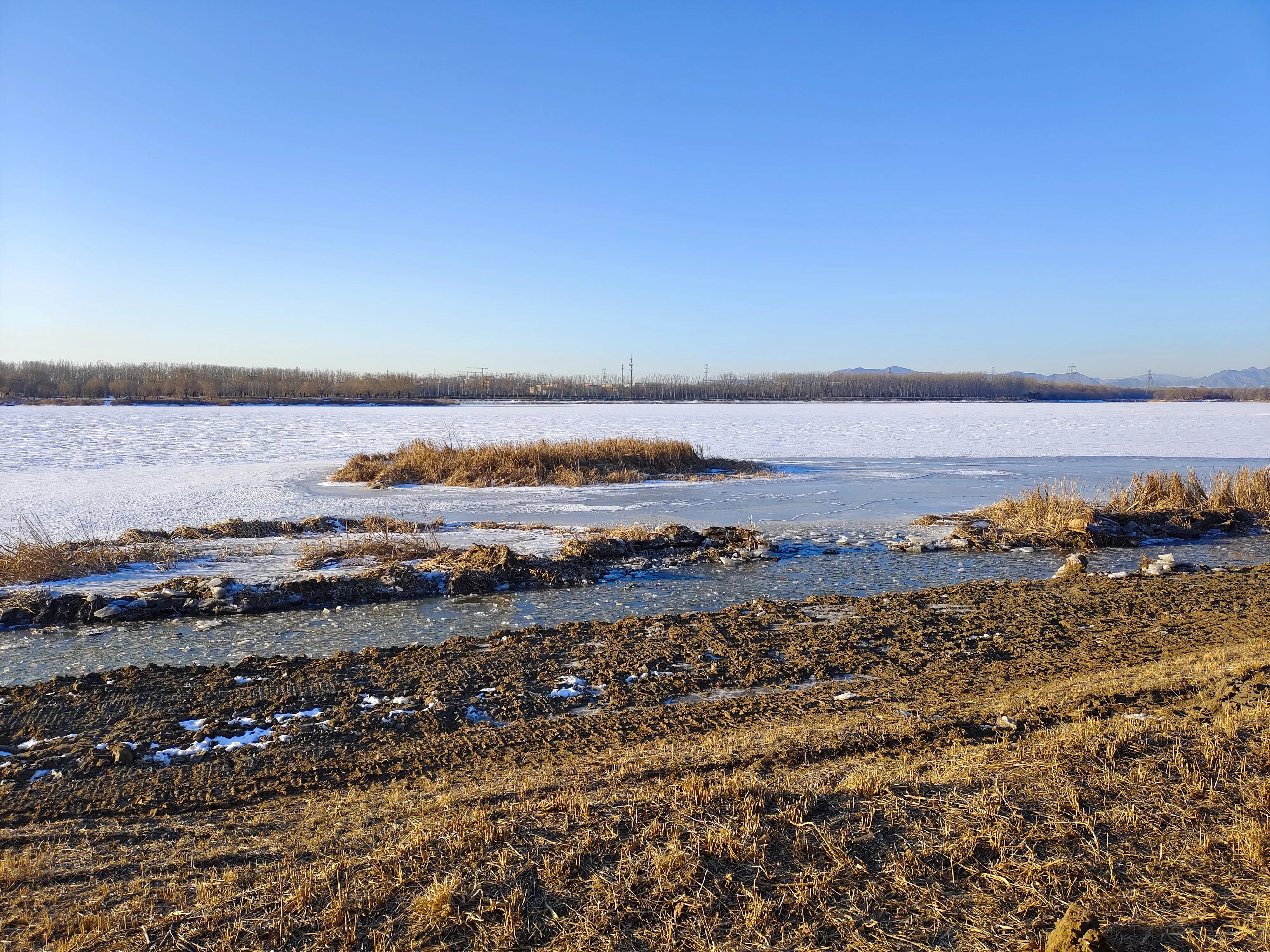 又是新的一周表情包,又是新的一周开始了图片