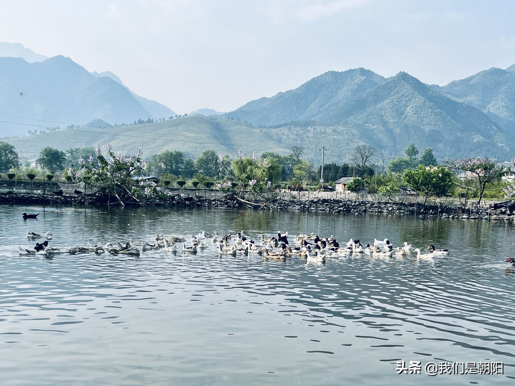 九嶷河国家湿地公园在哪里,九嶷河湿地公园