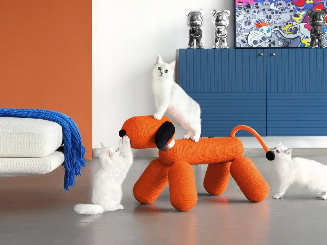 为宠物而设计,极简宠物产品