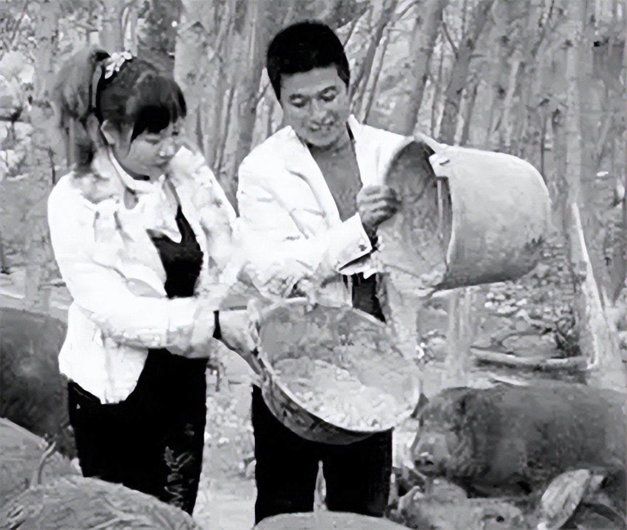 90后大学生深山养猪陪嫁300头猪,河南24岁女子深山养猪4年