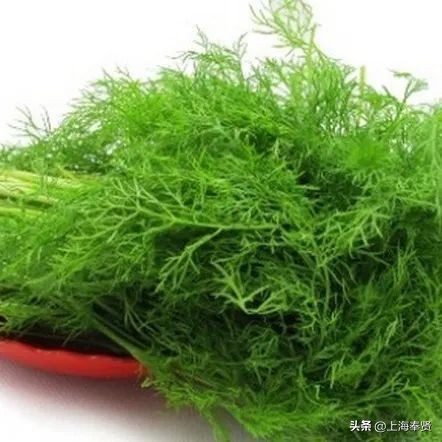 孕妈必吃的6种冠军蔬菜,怀孕后孕妈们必吃的七种营养蔬菜