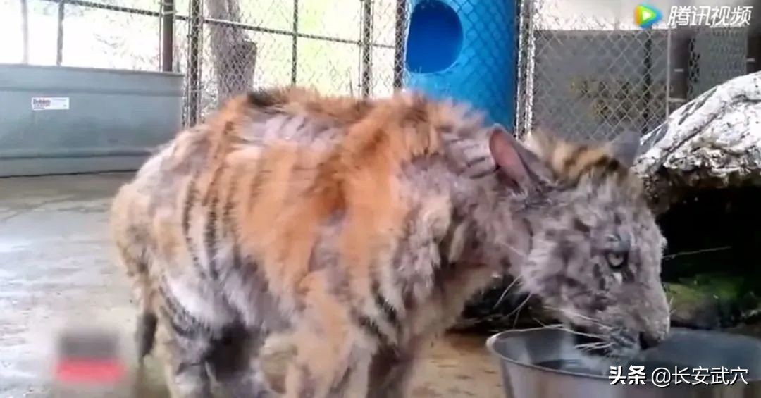 全网最近大事件,最大丑闻案件