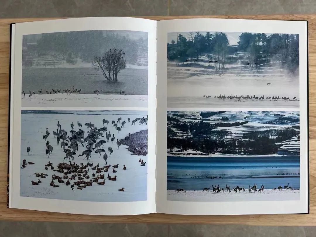 周崇光介绍,周崇光图文