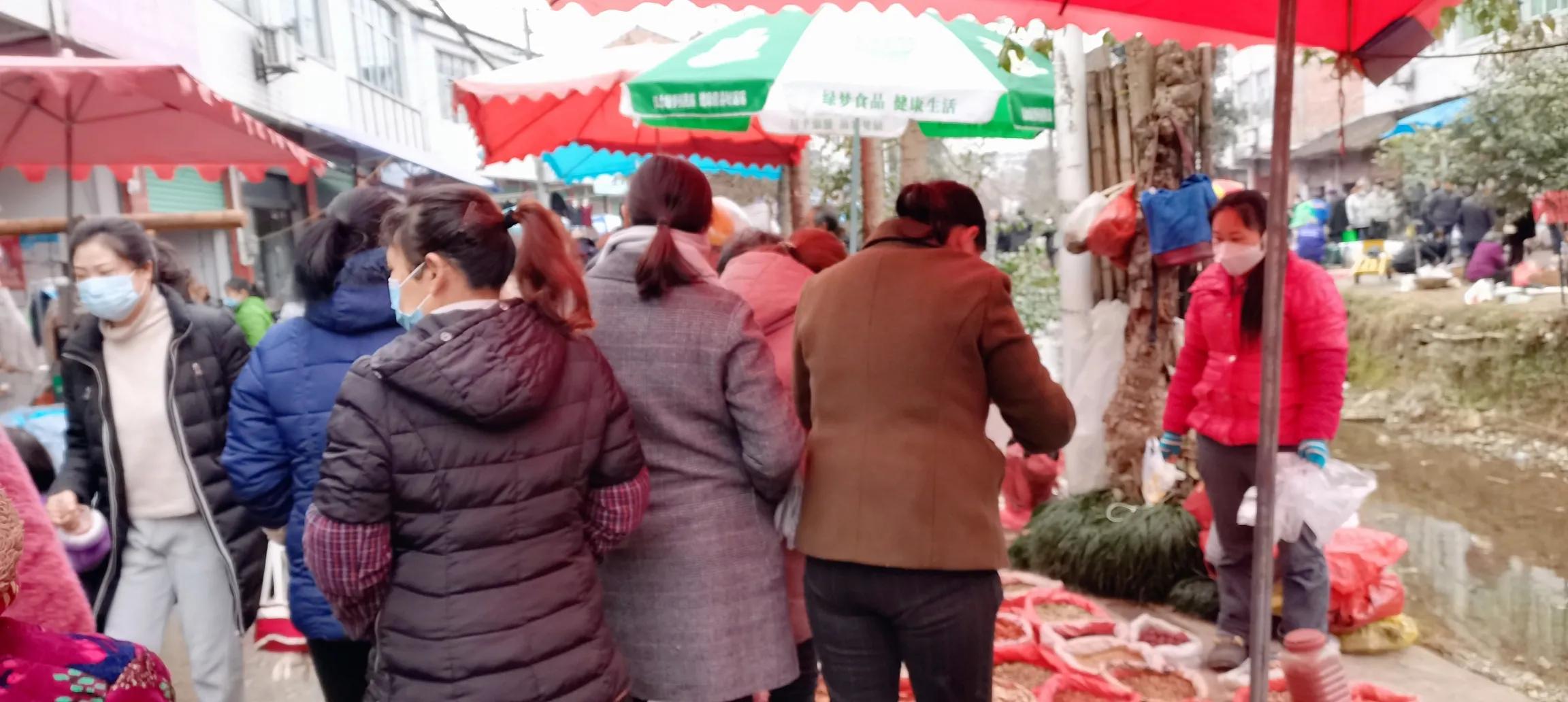 下岗女工做保姆36集,下岗女工做保姆14集