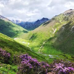四姑娘山景区旅游攻略长坪沟,四姑娘山海子沟和长坪沟哪个好玩