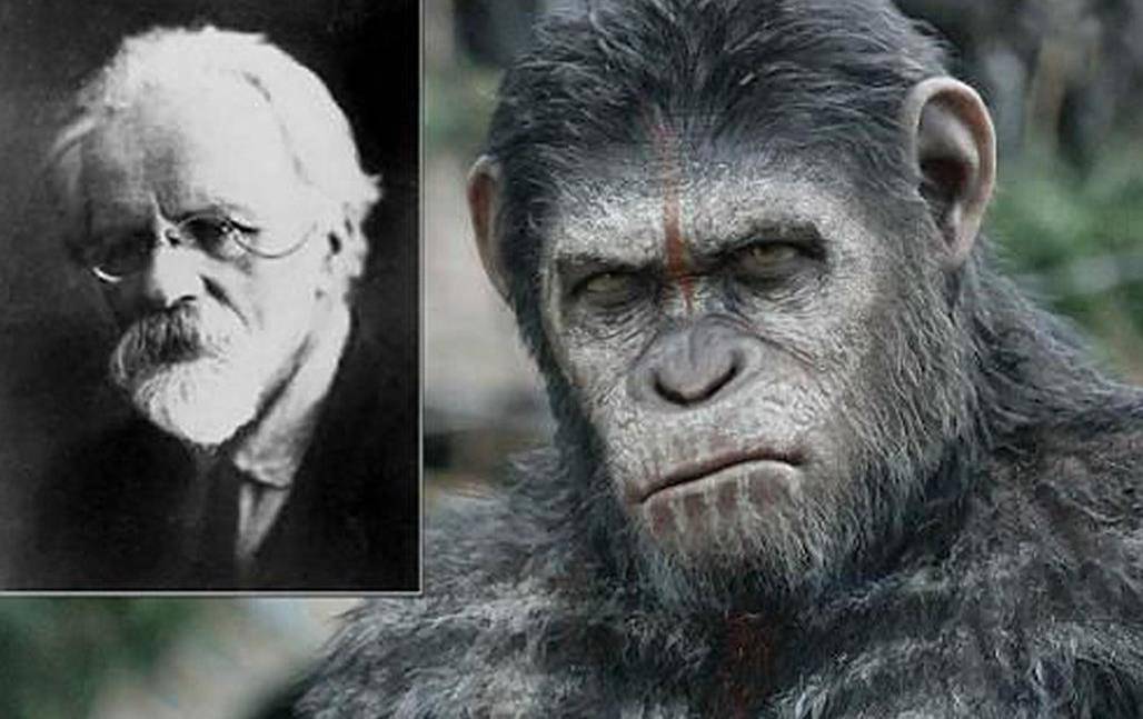 老虎狮子为什么可以杂交,为什么狮子和老虎能杂交