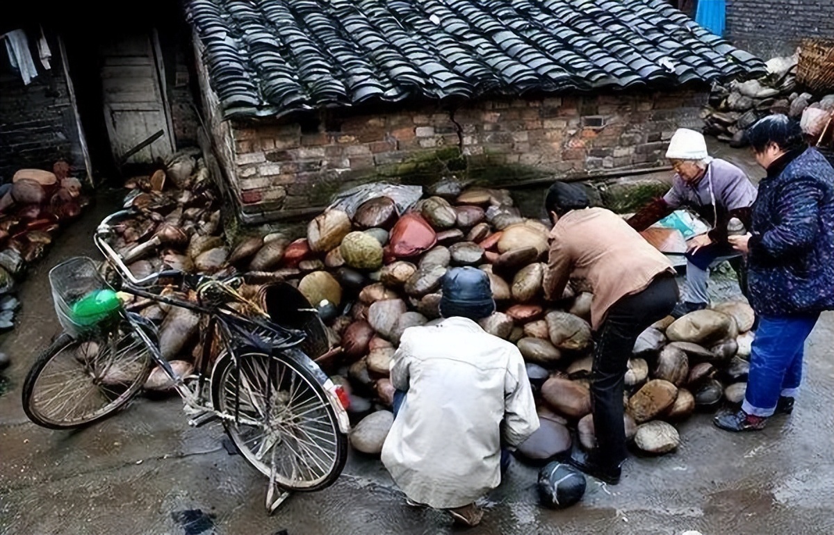 被央视新闻关注意味着什么,央视报道四川泸州老窖