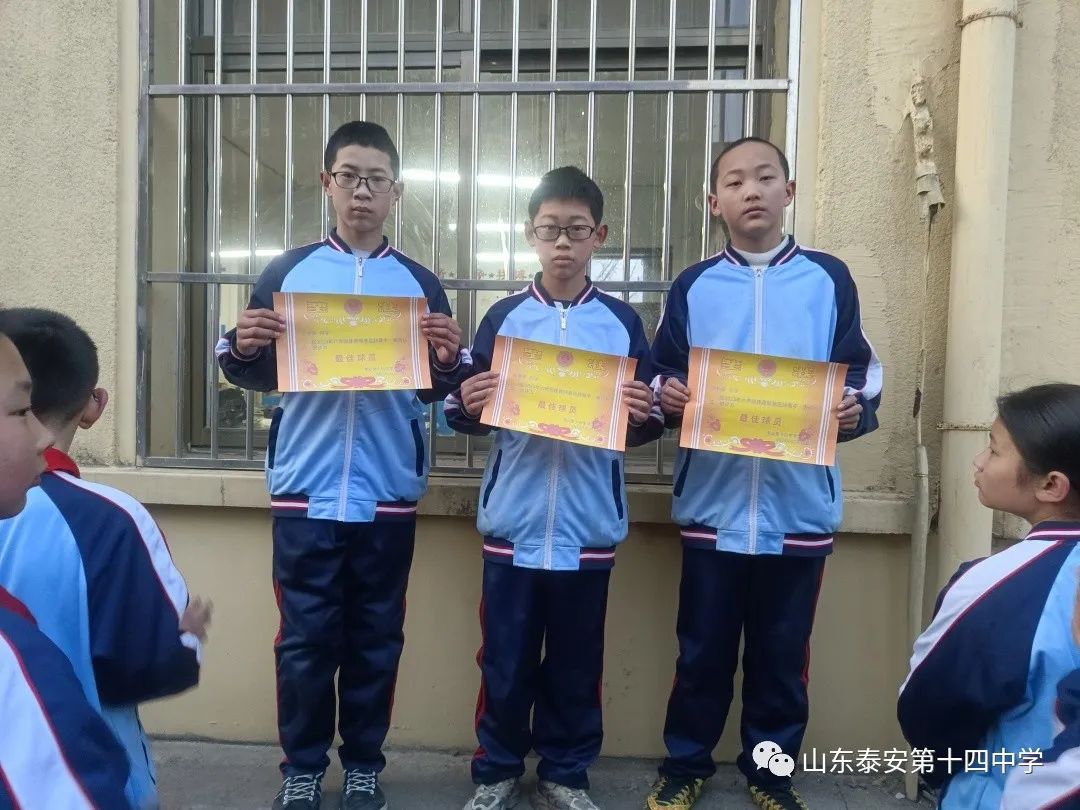 灞曠幇闈掓槬娲诲姏鏀鹃闈掓槬姊︽兂,灞曠幇闈掓槬娲诲姏缁芥斁闈掓槬椋庨噰娲诲姩