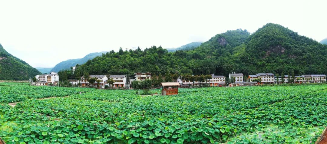 让群众在村级“三务”、发展规划等方面掌握“话语权”！郧西县委书记查宏：区域联合*党**建共绘美好生活