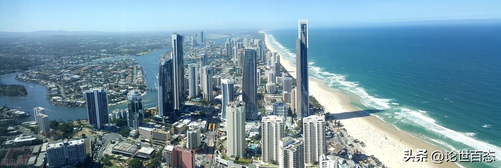 仙人掌科第57季被当做“有害杂草”的仙人掌