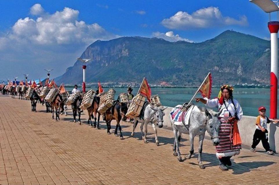 中茶茅台多少钱,小罐茶叶中的茅台价格