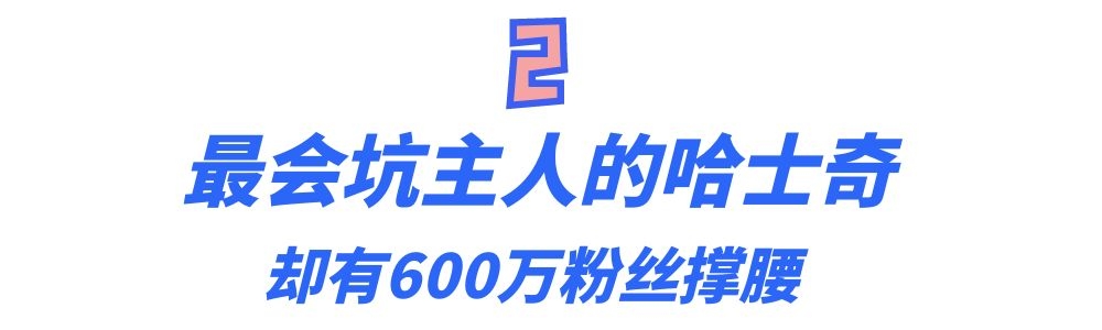 全网最听话的奥斯卡二哈,一只被主人逼疯的二哈奥斯卡