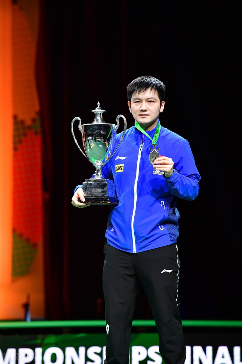 看完乒乓球训练视频感想,看完中国乒乓球比赛的感想简短