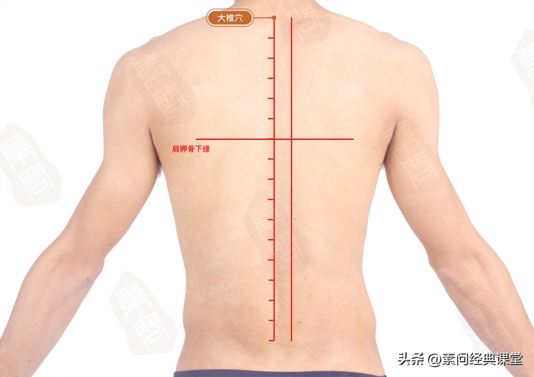新冠头痛发烧吃什么药最适合,新冠发热头疼中医有什么妙招