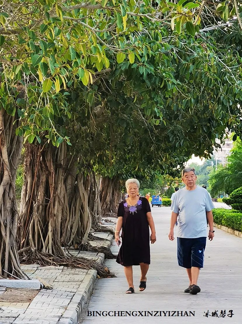 旅居海南：九所新区的浪漫情