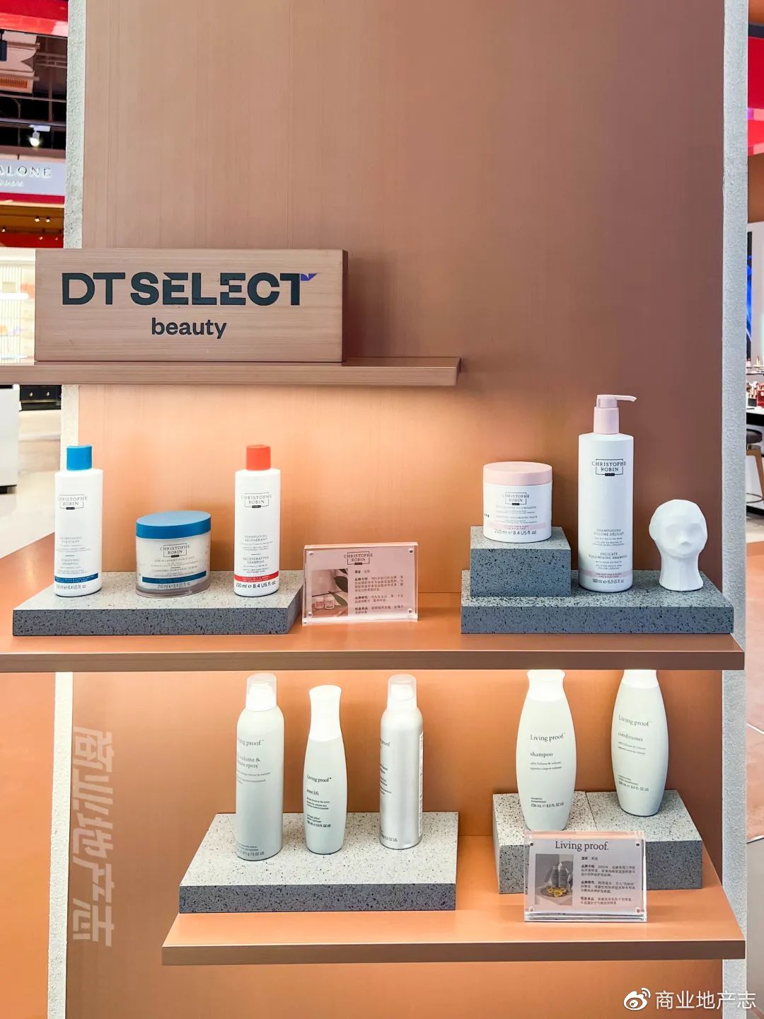 CRR速记|DT51，SKP的mini版？