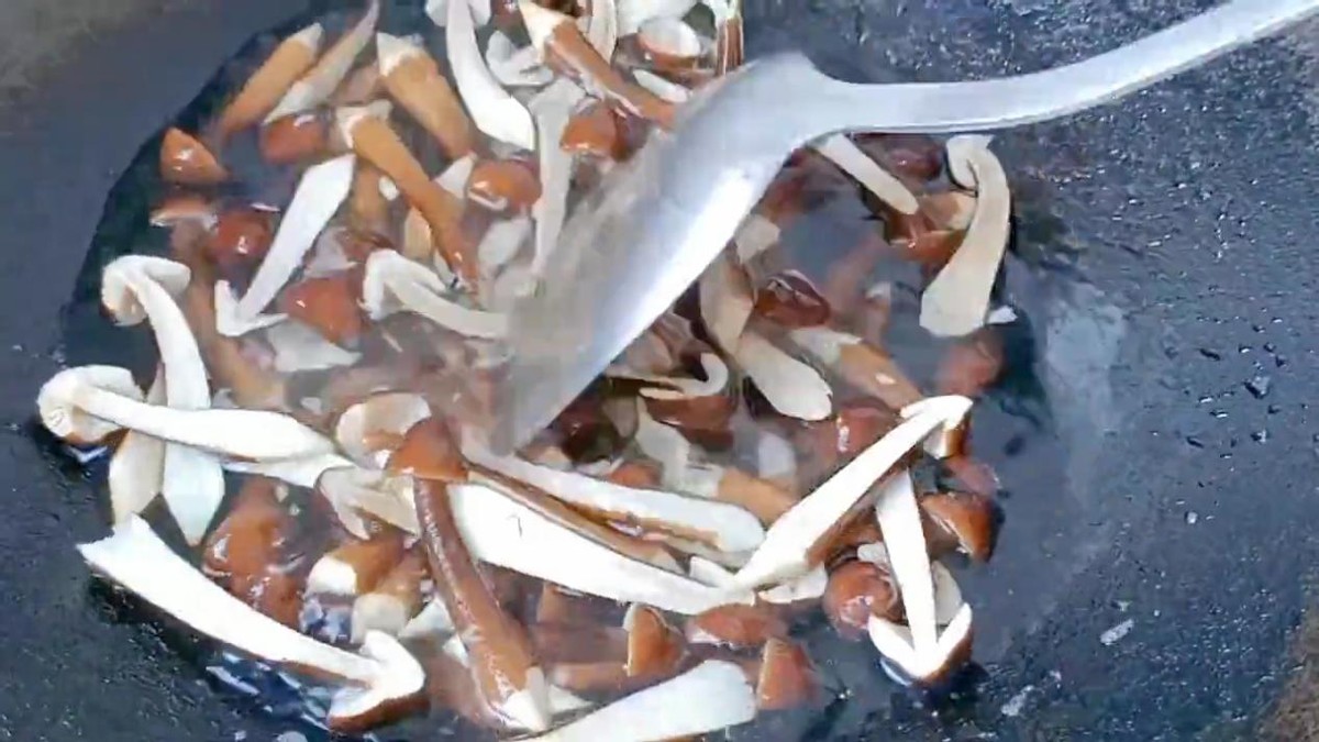 增强抵抗力免疫力吃的氨基酸,吃什么氨基酸能提高免疫力最快