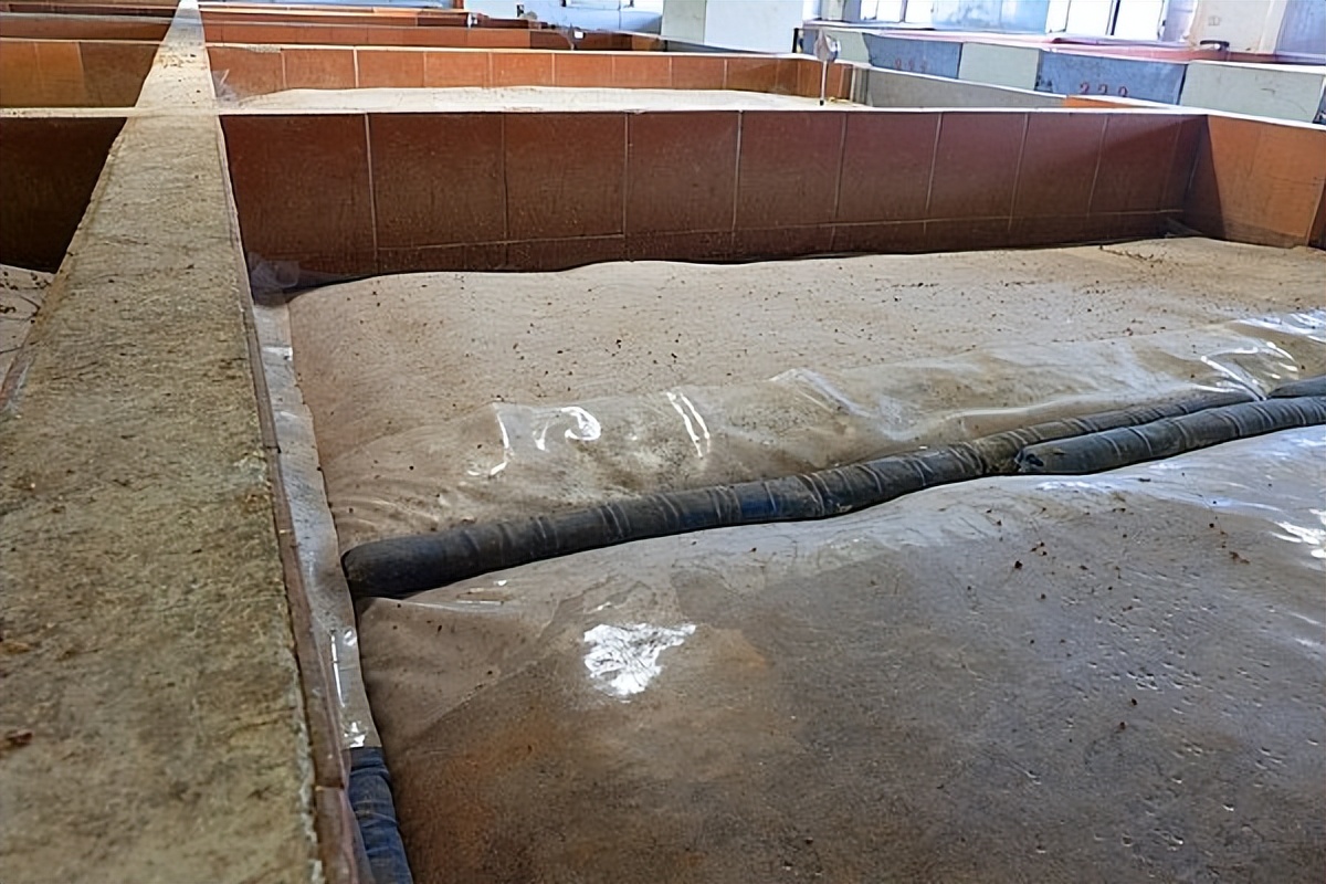 其实没有“台湾高粱酒”：酒标上有这4点不要买