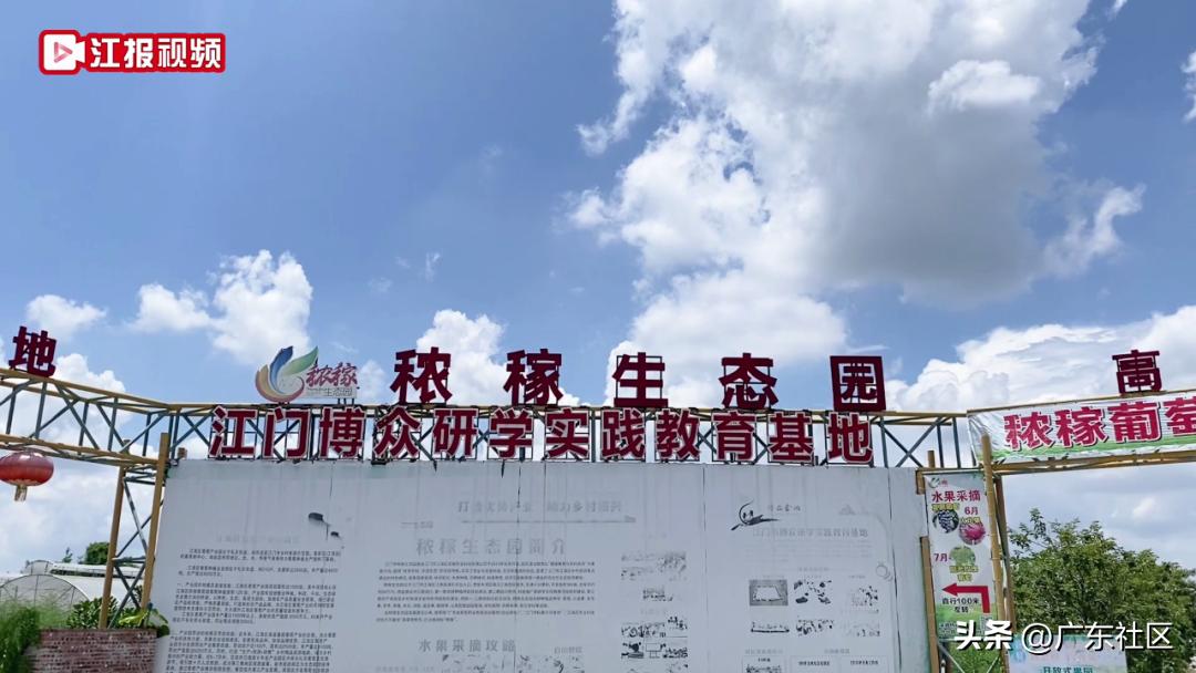 乡村休闲精品在江门：这里藏着个“世外萄园”，快来趣味游园摘果