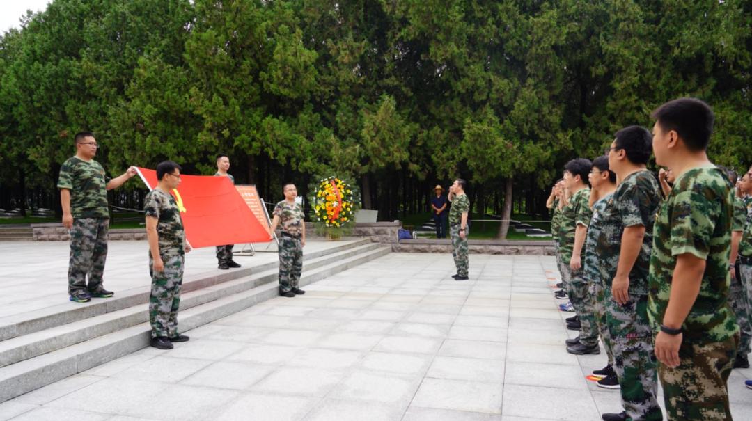 大元集团直播回放,大元集团最新动态