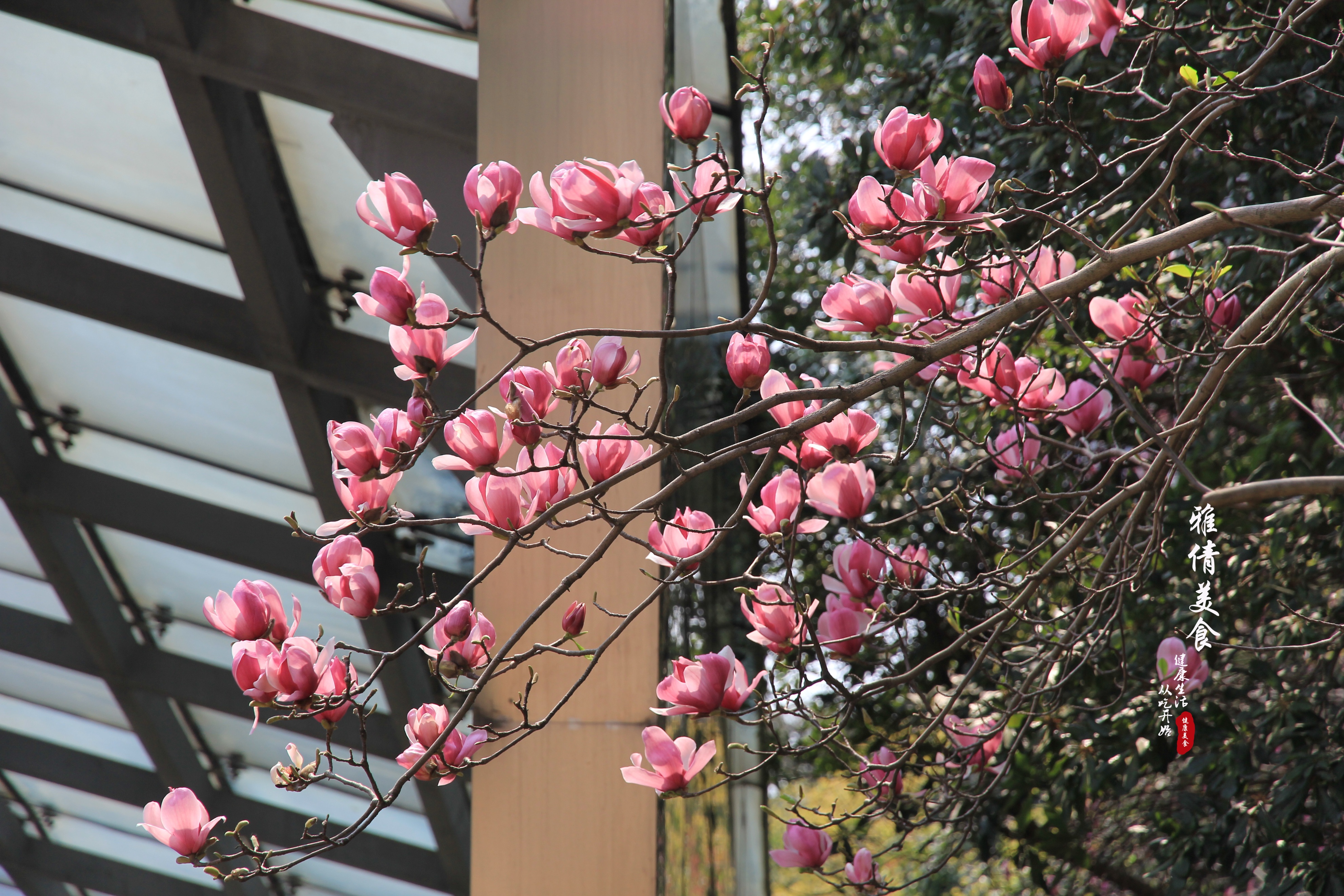春天吃什么野菜养肝护肝呢,立春这几种蔬菜记得吃养肝