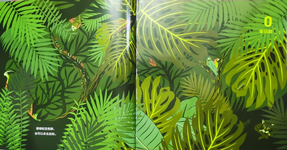 绘本和我一起数星星,儿童绘本推荐3-6岁星星主题