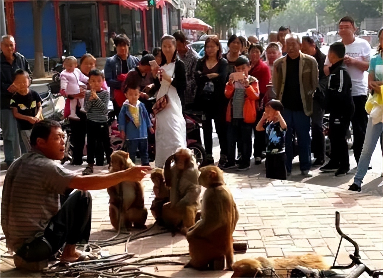 湖南一产妇生下“小猴子”,湖南妈妈生下小猴子杂技团要收吗