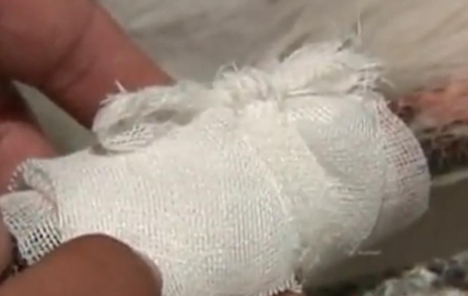 男子捡到怪鸟是国家二级保护动物,东北大哥捡到白色怪鸟