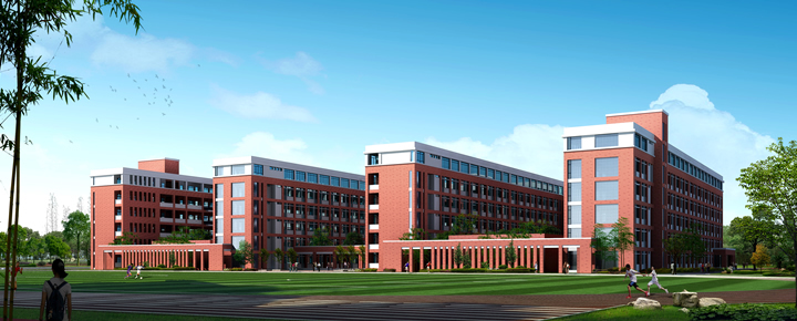 合肥市十大高中排名,合肥市十大高中排行榜