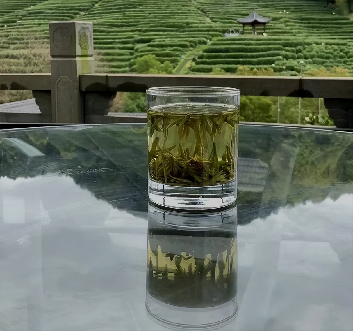 西湖龙井茶简单制作过程,西湖龙井茶的制作过程讲解