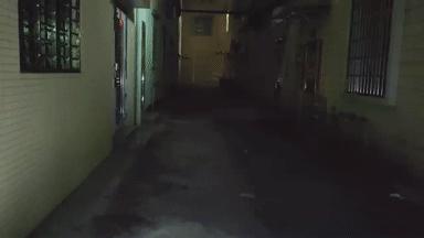 可以当灯光用的手电筒,能当灯的音响