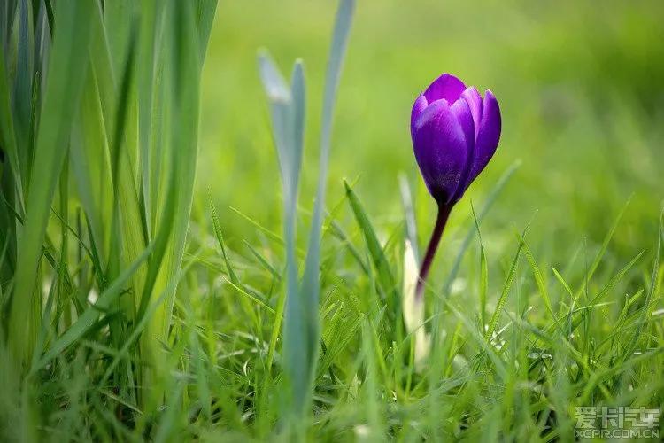 时光荏苒岁月如梭人生如歌,时光荏苒岁月如梭不负韶华