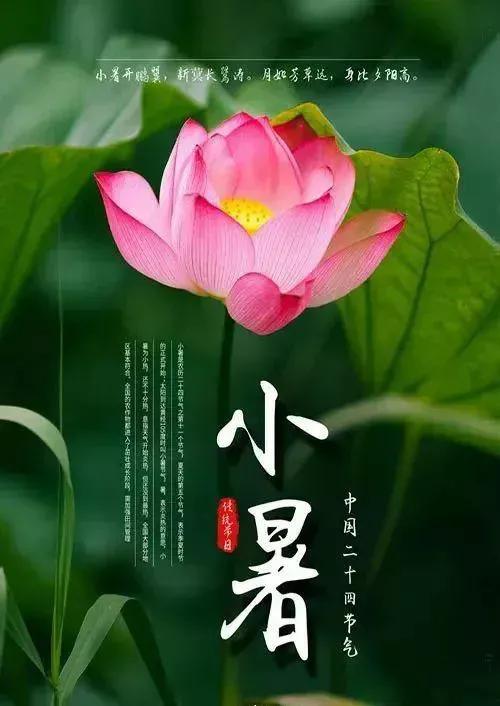 小暑节气最美问候图片,小暑节气早安问候图片