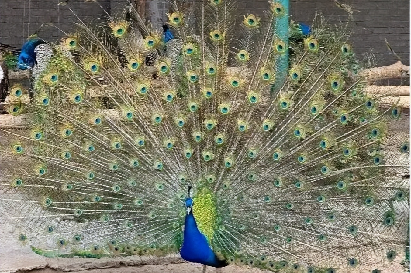 秦皇岛五一放假安排公布连休5天,秦皇岛五一旅游最新通知