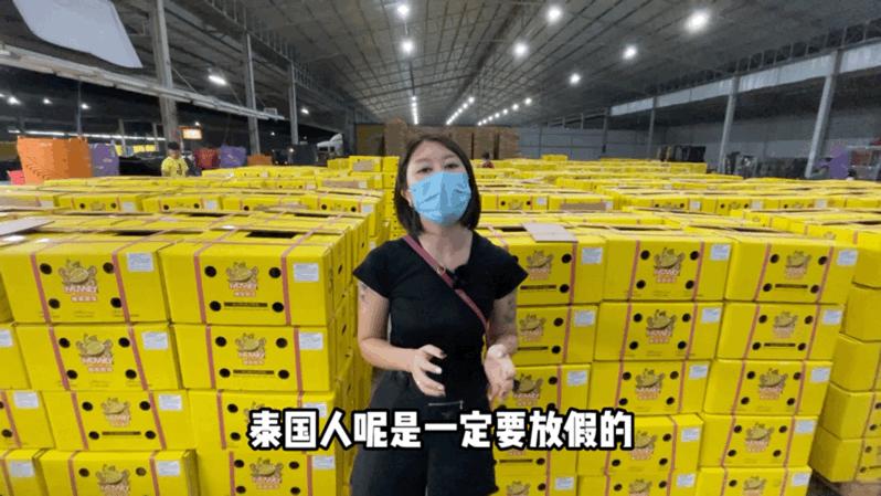真的榴莲自由了！在泰国榴莲工厂干饭，幸福的泪水从嘴角流下来
