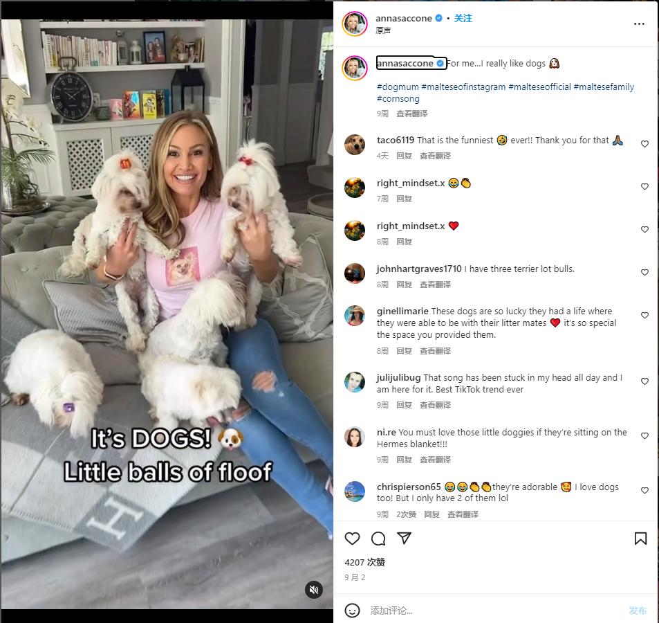 拥有上万亿美元消费能力的母亲群体，最青睐哪类网红？