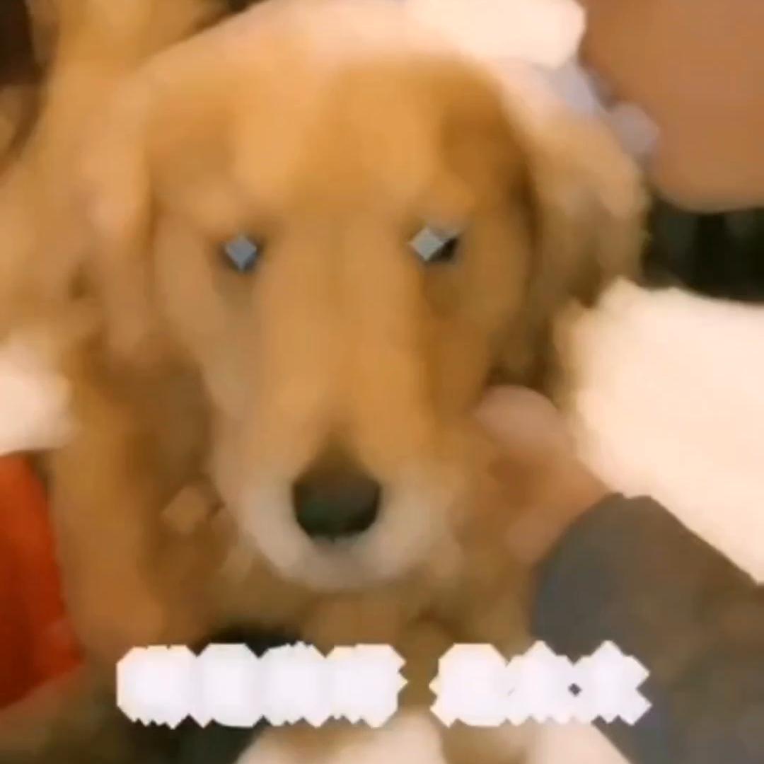 祝天下所有的母亲节日快乐视频,祝天下所有的母亲节日快乐动画图