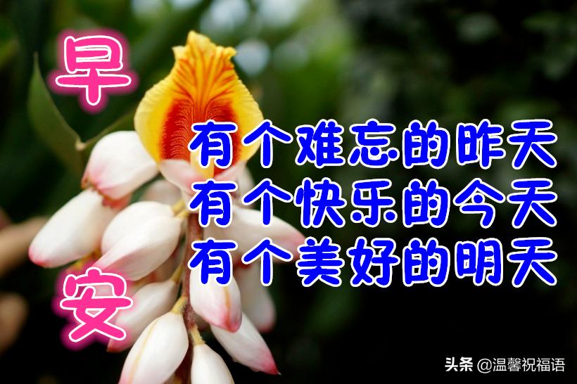 最新的早上好问候图片带字唯美,最美早上好祝福图片带字浪漫