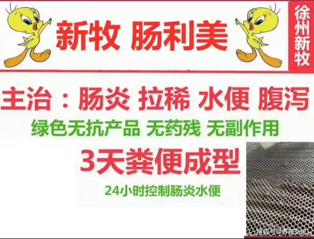 鸡流粘液是什么病,养鸡课堂鸡吐水的原因及防治措施