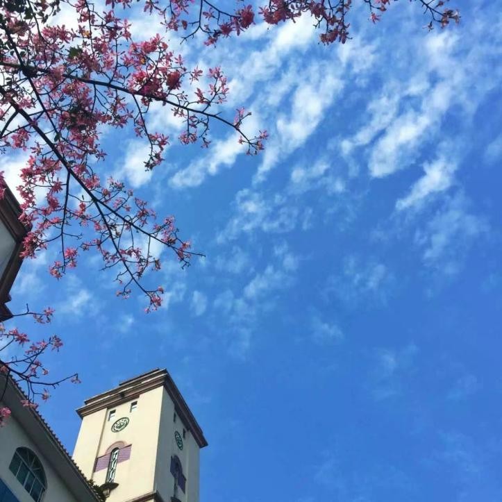 中山大学跻身世界学术排名,中山大学学科排名评估