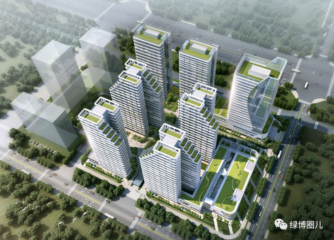绿博真实现状,5年后绿博