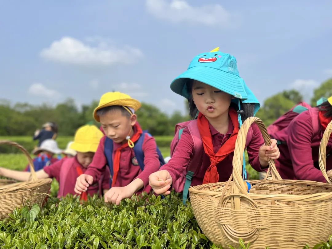 宜昌25所学校,宜昌新学校有哪些