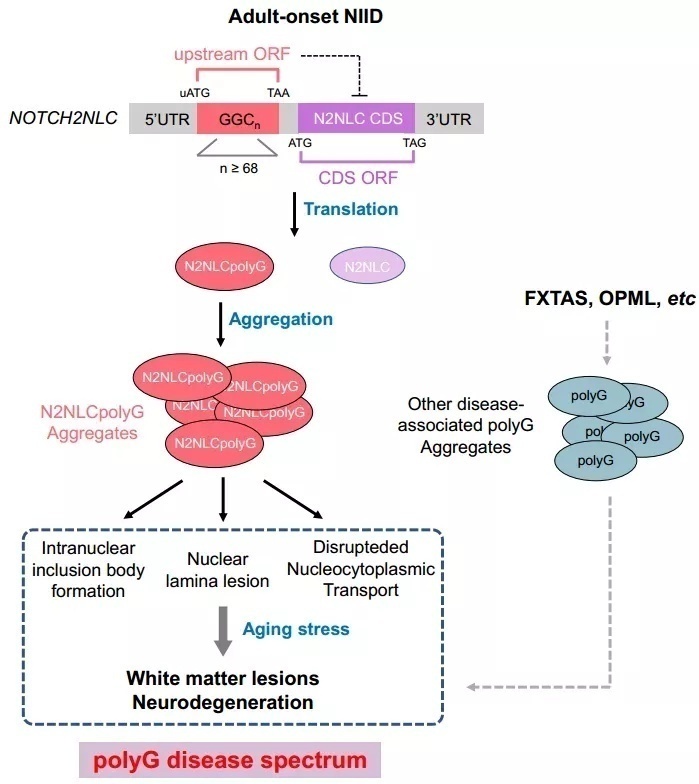 复旦科研成果有哪些,复旦7月科研成果上新科研速递