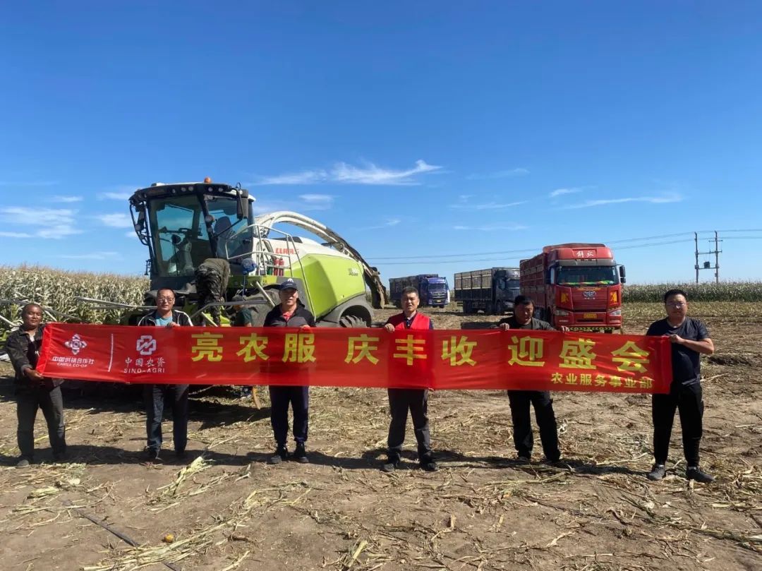 第六届中国农民丰收节,中国农民丰收节